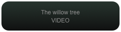 The willow tree
VIDEO